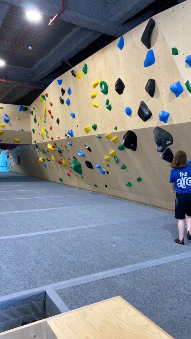 Surry Quays Climbing Walls