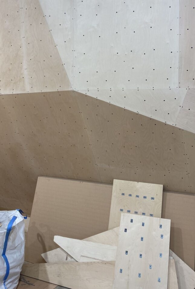 Surry Quays Climbing Walls