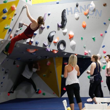 Climbing Walls Matting