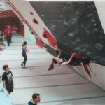 Red Spider Climbing Walls
